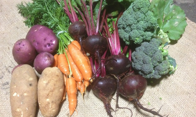 Veggies grown by Rick and Karen Parent. 