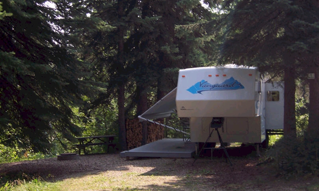 camper parked in a treed site