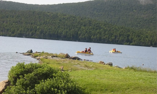 Boaters on paddle boats in water. 