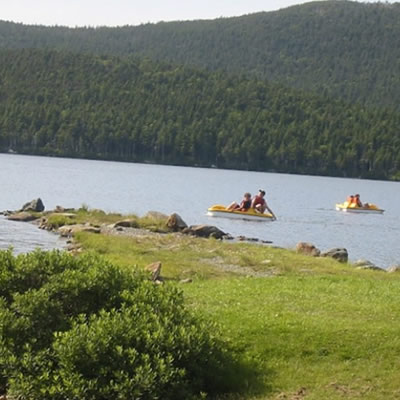 Boaters on paddle boats in water. 