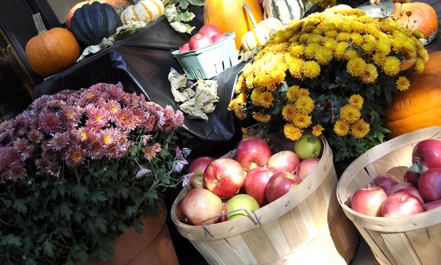 Flowers and produce on display at the Osoyoos farmers market