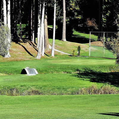 Hole No. 15 crossing over Fergus Creek. 