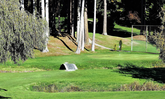 Hole No. 15 crossing over Fergus Creek. 