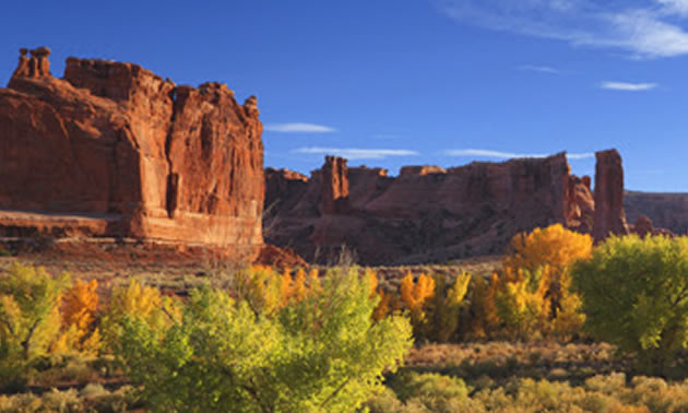 Picture of Moab, Utah with towering red rock and scrub-brush. 