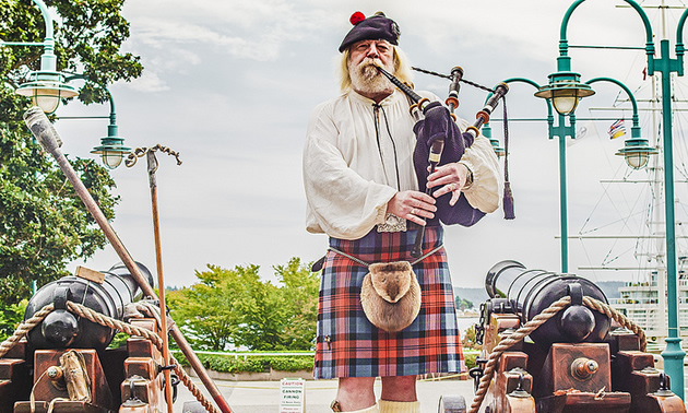 A bagpipe player in traditional dress stands between two cannons.