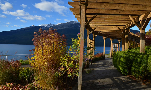Nakusp's waterfront walkway is a beautiful way to discover the Arrow Lakes.