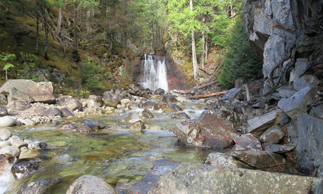 Gardener Creek Falls is located just off the road on the way to the Nakusp Hot Springs.