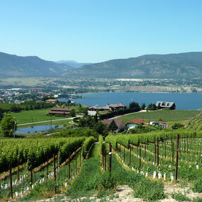 View from a Naramata winery. 