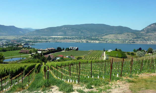 View from a Naramata winery. 