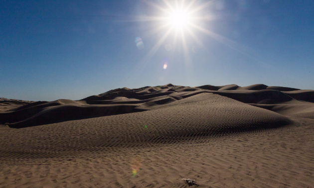 Sand Dunes.