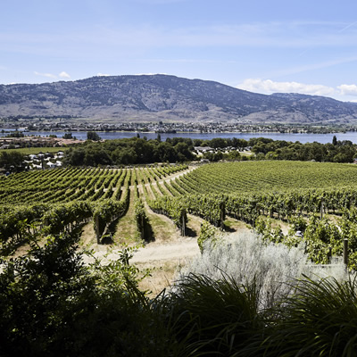 Fantastic view is a treat while having lunch in the garden at N'k Mip Cellars. 