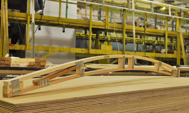 Engineered pine trusses ensure some flex in the roof.
