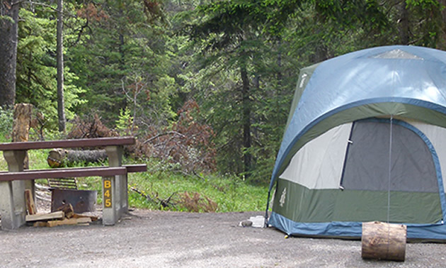 Picture of tent and picnic bench at campsite. 