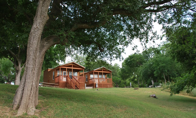 Picture of wood cabins set amidst large pecan trees. 