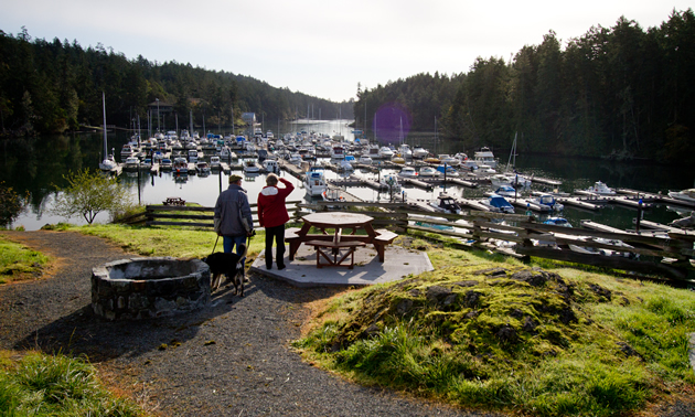 A couple looks over the docks and harbour from Ash Point