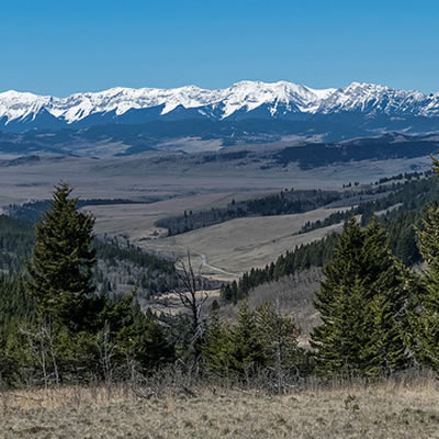 Scenic view of rolling hills and grasslands, with snow-capped mountains in background. 