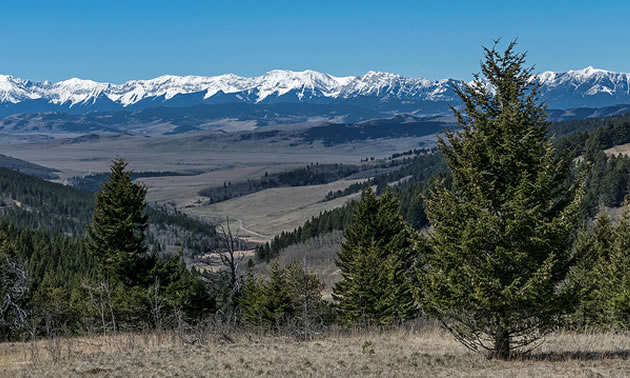 Scenic view of rolling hills and grasslands, with snow-capped mountains in background. 