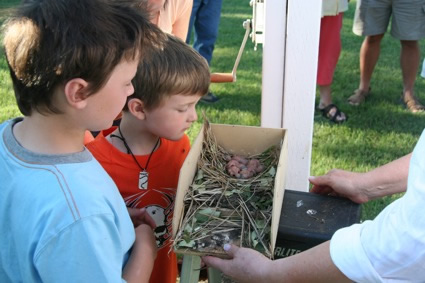 Two children look into a Purple Martin nest box that has eggs and hatched birds inside.
