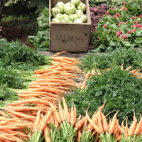 Borno Farms market garden near Vanderhoof, B.C.