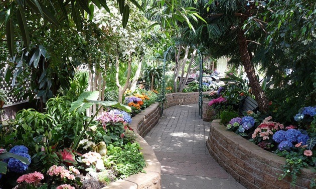 The Regina Floral Conservatory’s floral display changes six times per year with seasonal offerings.