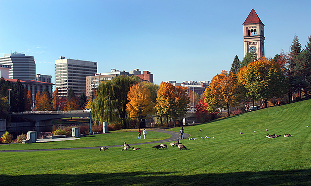 people and geese in a park with skyscrapers in the background