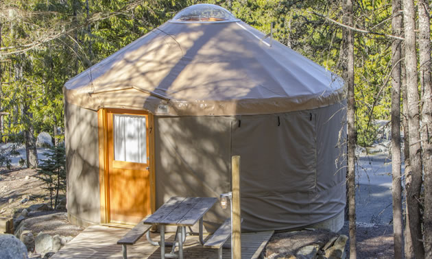 The yurts at Riverside RV Resort have roof-top skylights. 