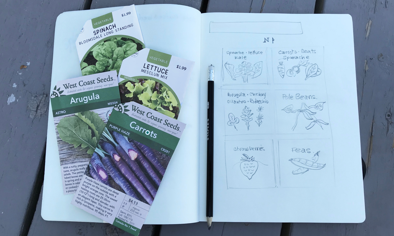 four seed packages displayed on a notebook with vegetable sketches