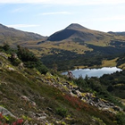 The Babine are framed by green hills, red flowers, and are inset with a sparkling lake.