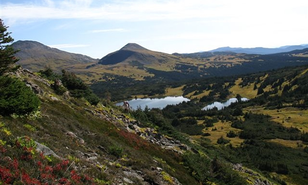 The Babine are framed by green hills, red flowers, and are inset with a sparkling lake.