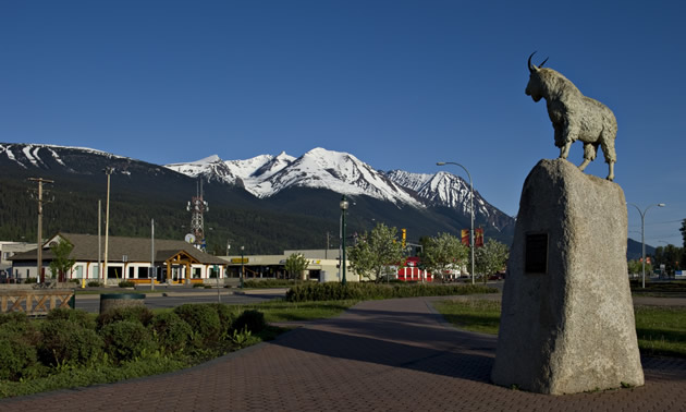 This mountain goat on a pedestal keeps watch over downtown Smithers, B.C.