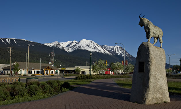 This mountain goat on a pedestal keeps watch over downtown Smithers, B.C. 