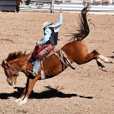 A kicking horse with a rider is part of the action at the International Rodeo in Tucson.