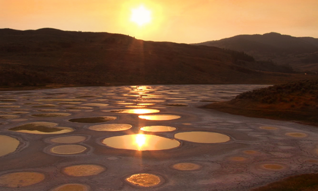 Spotted Lake Osoyoos