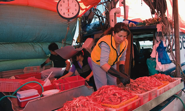 a woman arranges some fresh prawns in her market display