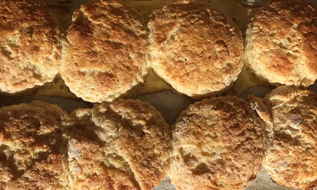 Rows of freshly-baked biscuits.