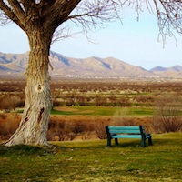 Hole #11. Signature Hole with view of Turquoise Valley and Mule Mountains.