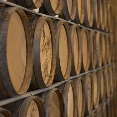 Wooden barrels of wine are stacked in rows on shelves.