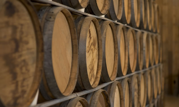 Wooden barrels of wine are stacked in rows on shelves.