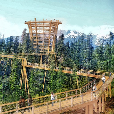 Artist's rending of the proposed elevated tree walk. 