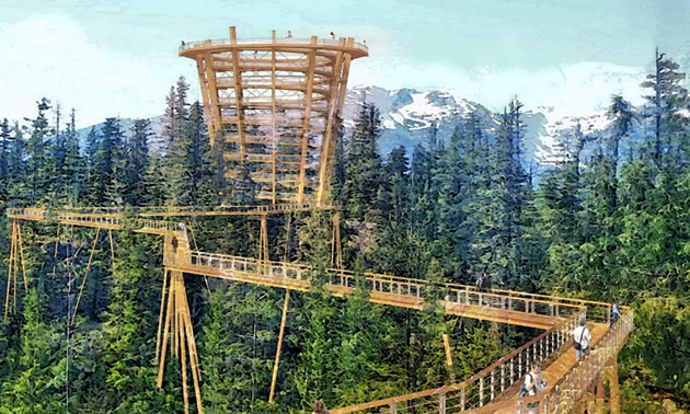 Artist's rending of the proposed elevated tree walk. 