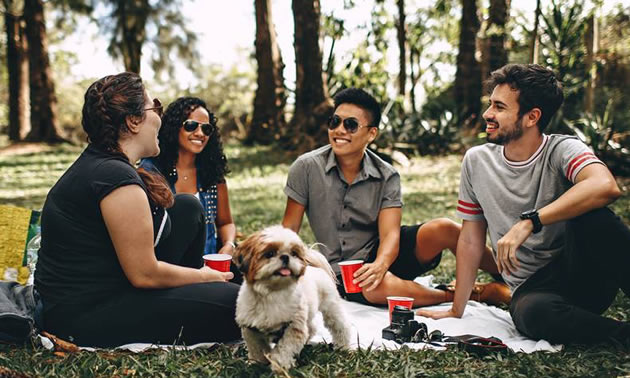 Group of people and dog sitting on grass in forest. 