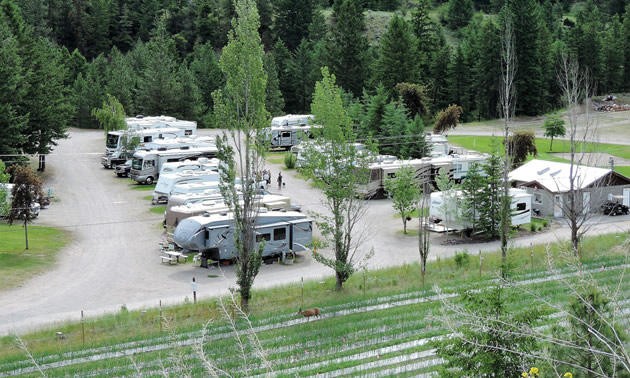 Twin Lakes RV Resort. 