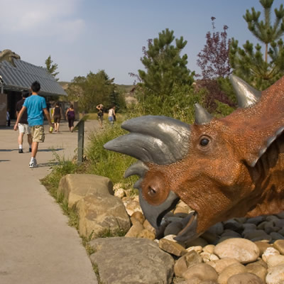 The Royal Tyrrell Museum is a world-renowned museum and research facility situated in the rugged Canadian Badlands, which offers some of the richest deposits of dinosaur fossils in the world. 