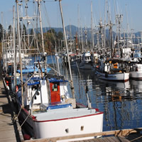 At Sooke Government Wharf on Vancouver Island fishing boats are parked alongside a dock.