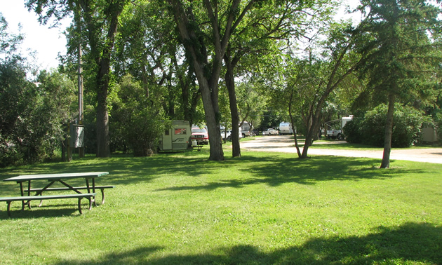 Green lawn and shade trees at River Park Campground in Moose Jaw, SK