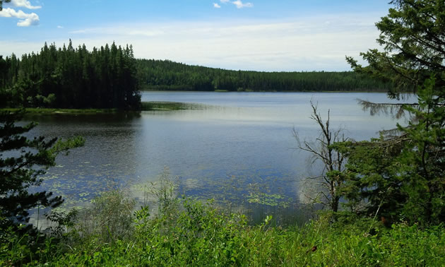 The locals love to ride to a spot they call Hidden Lake (Ash Lake) for adventurous riding and rider meetups.