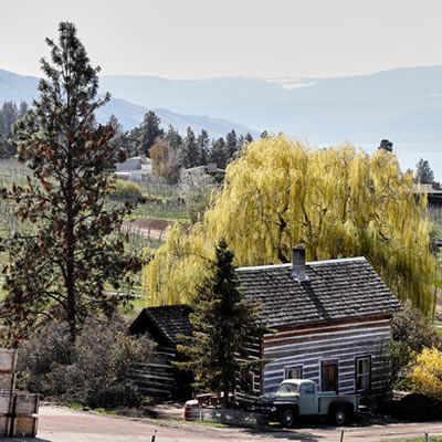 Cabin at Summerhill adds a touch of the old to the modern winery.