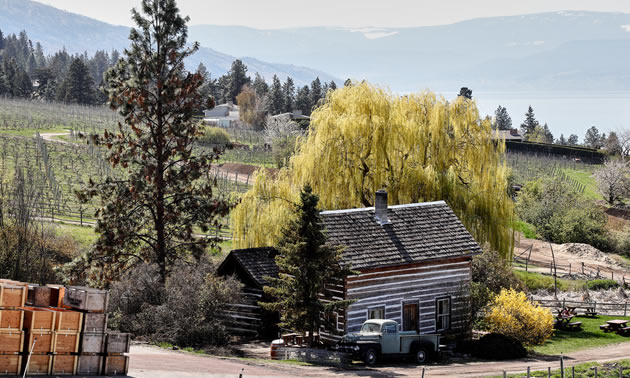 Cabin at Summerhill adds a touch of the old to the modern winery.