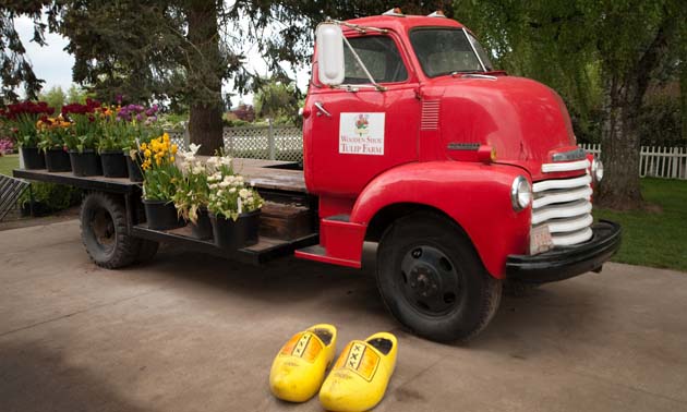 Wooden Shoe Tulip Farm is a wonderful place for a day with the family.