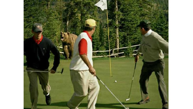 Three golfers running from a large grizzly bear.